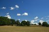 Summer meadows