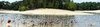 Holiday forest lake panorama