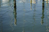 Harbour reflections