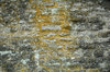 Block Wall