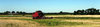 Harvest season