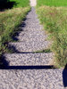 Downhill