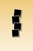 Template 5