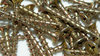 Stainless screws 1