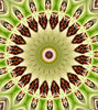 green melon mandala