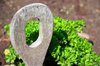 Parsley - vegetable garden