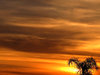 sunset sky