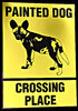 colourful crossing
