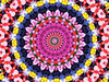 shoe flower mandala