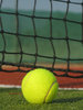 on the court