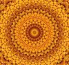 sunball bursts