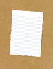 Torn Paper 7