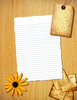Torn Paper 13