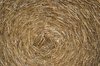 Hay roll texture