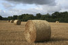 Hay rolls