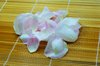 wet petals