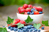 Fruit of the forest