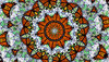 butterfly circle