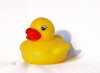 Duckie