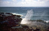 Hawaii Coastline