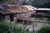 Drying Coca Beans
