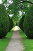 Hedges
