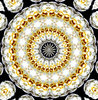 layered circle thins