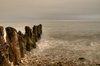 Sea teeth - HDR