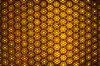 Cells within cells 1