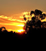 sunset sihouette