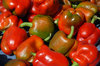 Peppers