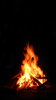 Campfire