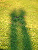 shadowy embrace