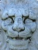 frozen lion