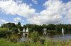 Colemere Cattle and Boats