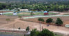 Dominican Baseball