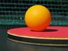 ping pong paddle
