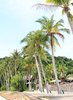 Tropical Island Scene 1