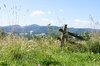 meadow in mountains