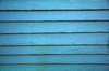 Painted Wood