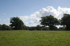 Green parkland