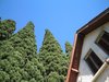 To the sky
