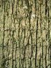 Texture 14