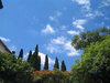 Green, blue, white, red...