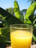 Yellow juice 2