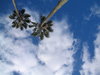 High in the sky