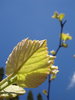 Life again 3