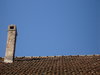 Old roof 1