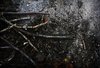 old wood