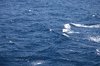 Sea surface 5
